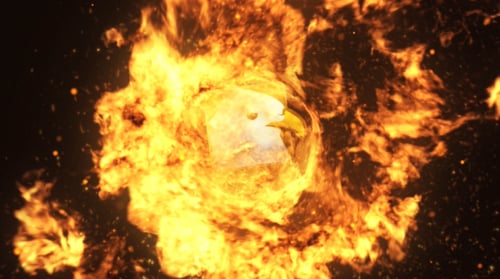 Spinning Fire Logo Reveal