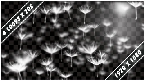 Dandelions Flug-Overlays