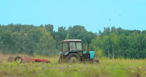 Tractor Driver Cultivates Land in the Field Preparing for Sowing Grain