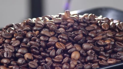 Roasted Coffee Beans Pile Up Close Up Shot