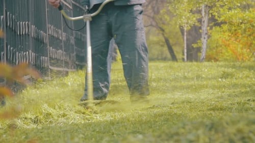 Gardener Mows The Lawn Mower Green Grass