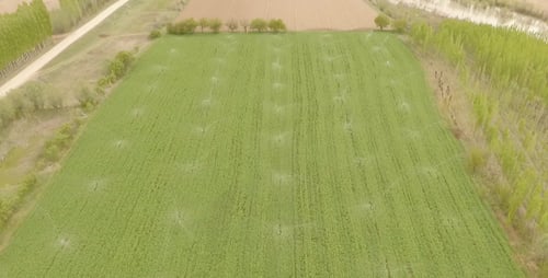 Field