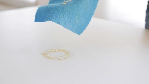 Hand with Glove Cleaning Up Mess with Cloth