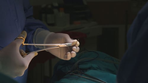 Surgeon During Surgery