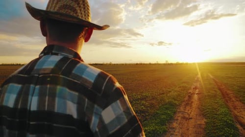 Farmer Using Tablet in Field at Sunset
