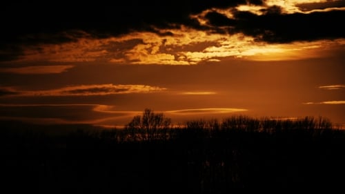 During Sunset Over Tree Line.