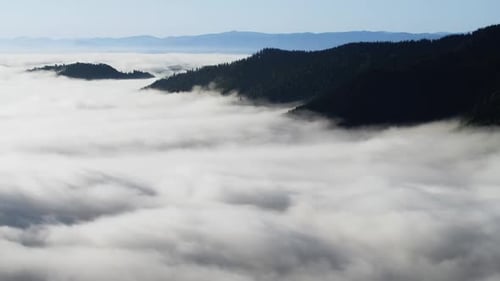 Morning Fog in the Forest, Natural Beautiful Nature Landscape in Mountain, Background