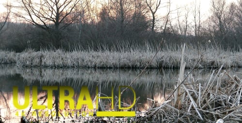Grey Lake 2