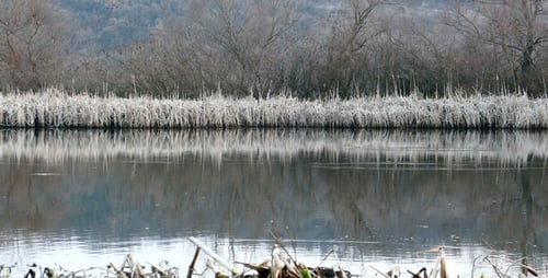 Grey Lake 3