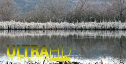 Grey Lake 3