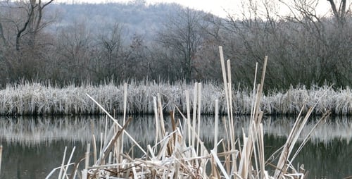 Grey Lake 4