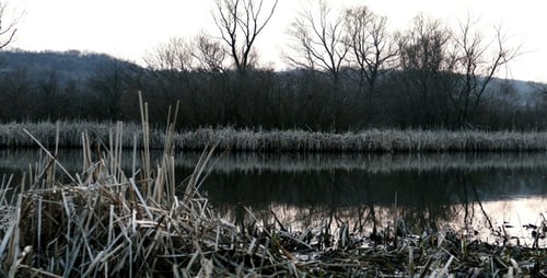 Grey Lake 5