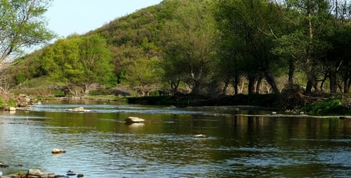 River in Early Spring 1