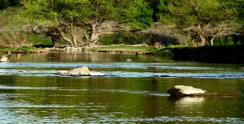 River in Early Spring 2