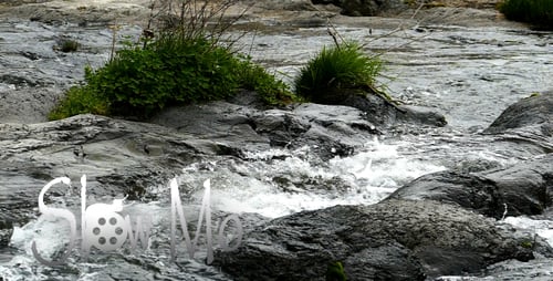 River in Early Spring 5