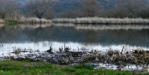 Grey Lake 6