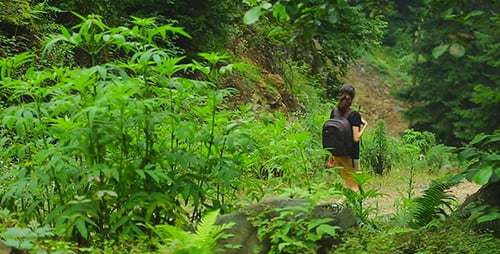 Im Wald spazieren