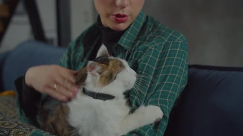 Adopted One Eyed Cat Socializing with Pet Owner