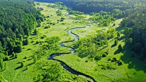 Atemberaubende Luftaufnahme von Fluss und grünem Wald im Sommer