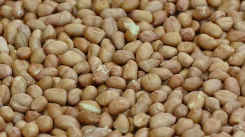 Beaucoup de cacahuètes