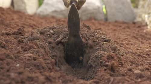 Agriculteur utilisant une houe truelle préparant le sol pour la culture biologique. Binage du sol