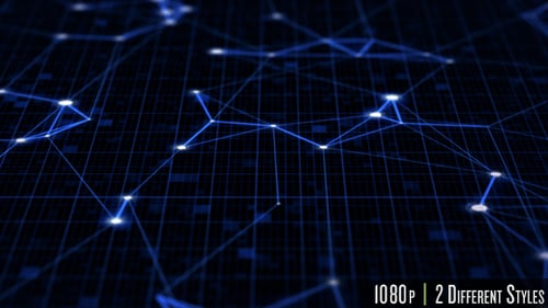 Network Optimization