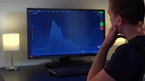 Young Adult Analyzing Financial Data on Monitor