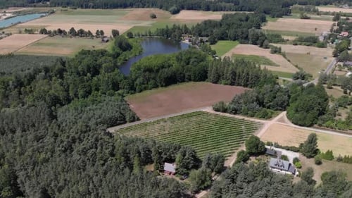 Aerial View Around the Village in the Black Forest on a Sunny Day in Summer