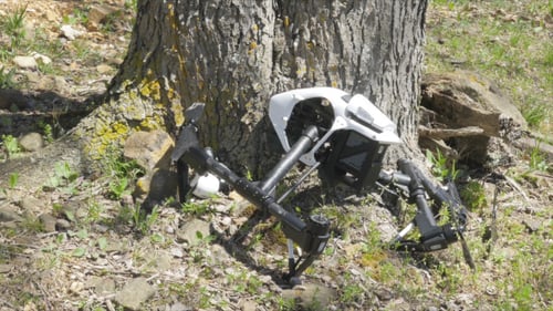 Drone Crashed into Tree Reveal