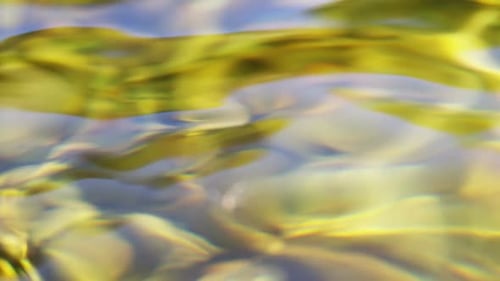 Angelköder schwimmen auf seichtem Wasser