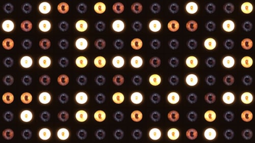 Lichter VJ Stage