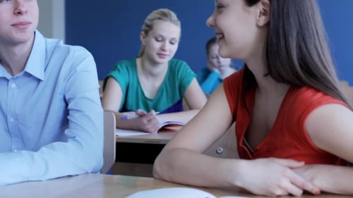 Happy Students Talking On Lesson At School 14