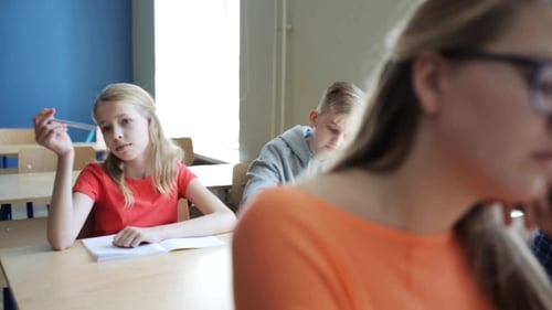 Students With Notebooks On Lesson At School 7