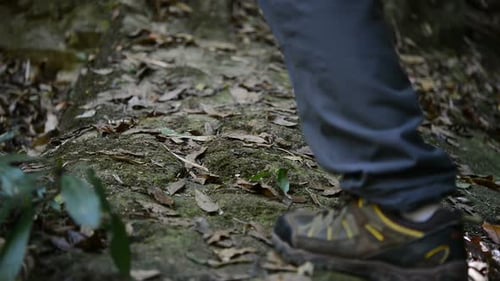 Hiking