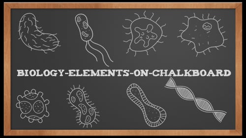 Chalkboard Science Animations: Hand-Drawn Biology Elements