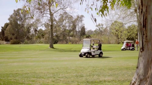Two Golfing Buggies Or Carts On a Golf Course
