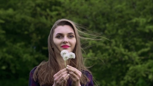 Nice Girl Blowing The Bouquet Dandelion In The Garden.