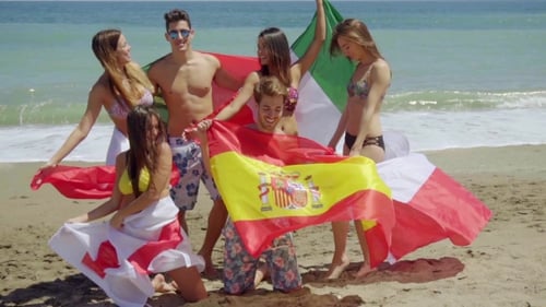 Group Of Friends In Swim Suits With Flags At Beach
