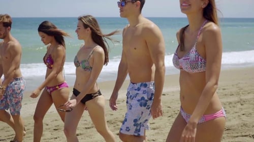 Group Of Diverse Young Friends Walking On a Beach