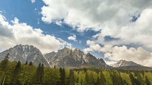 Landscape with Forest And Snowcapped Mountains