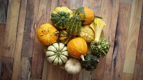 Overhead View of Decorative Gourds on Plate