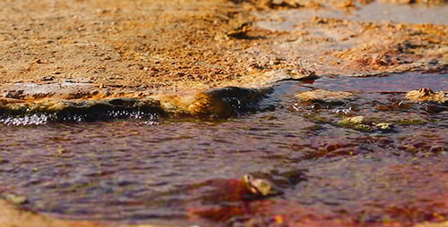 Natural Spring Water
