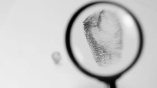 Investigating Fingerprint Magnifier