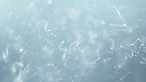 Beautiful White Clean Abstract Particle Line Pattern Background