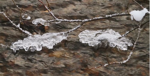 Winter Stream
