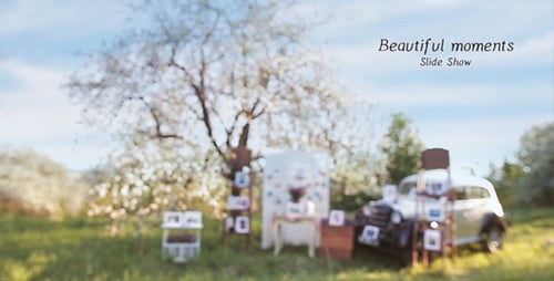 Photo Gallery - Beautiful Moments