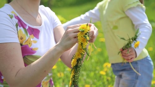 Woman Weaving Dandelions with Child in Sunny Field