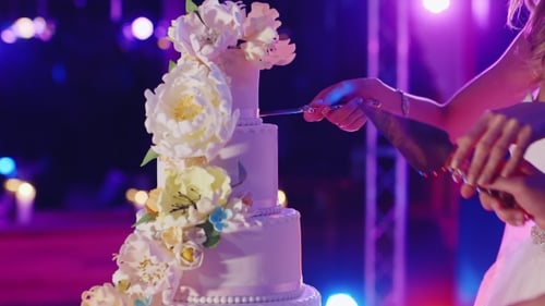 Elegant Wedding Cake Cutting Ceremony at Night