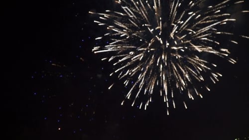 Spectacular Fireworks Display on a Festive Night
