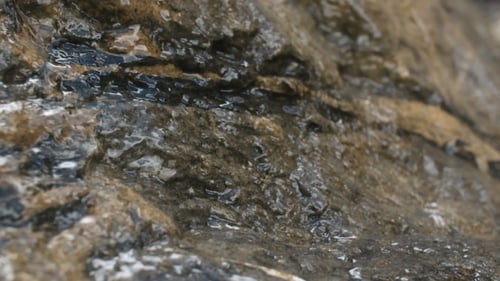 Pure Fresh Water Waterfall In Forest In The Mountains